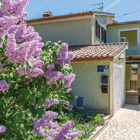 Cozy In Tar With House Sea View Apartment Tar-Vabriga